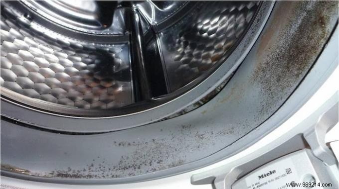 Expert Tip: Prevent Mold in Your Washing Machine with One Simple Habit