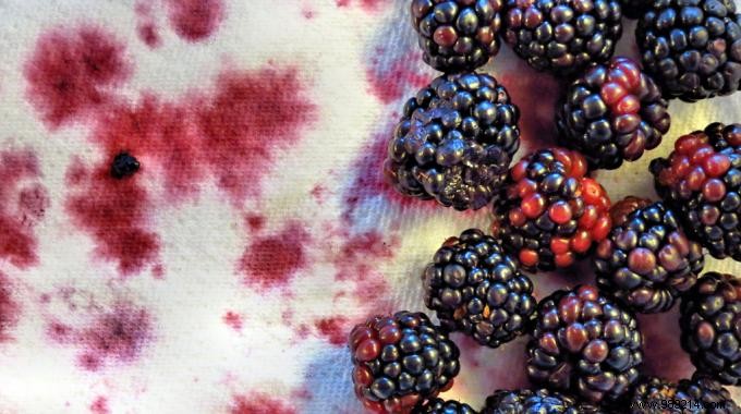 6 Proven Natural Ingredients to Remove Tough Food Stains Effortlessly