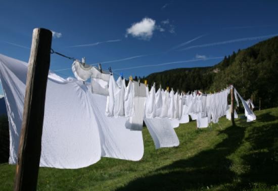 6 Proven Uses for Terre de Sommières: Nature s Versatile Stain Remover