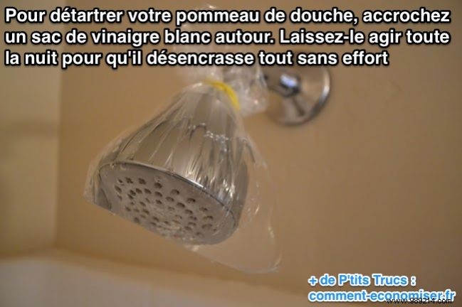 Effortless Shower Head Descaling: Proven White Vinegar Method