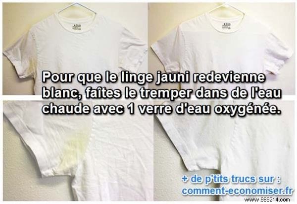 Restore Your White Cotton T-Shirts: Proven Hydrogen Peroxide Method