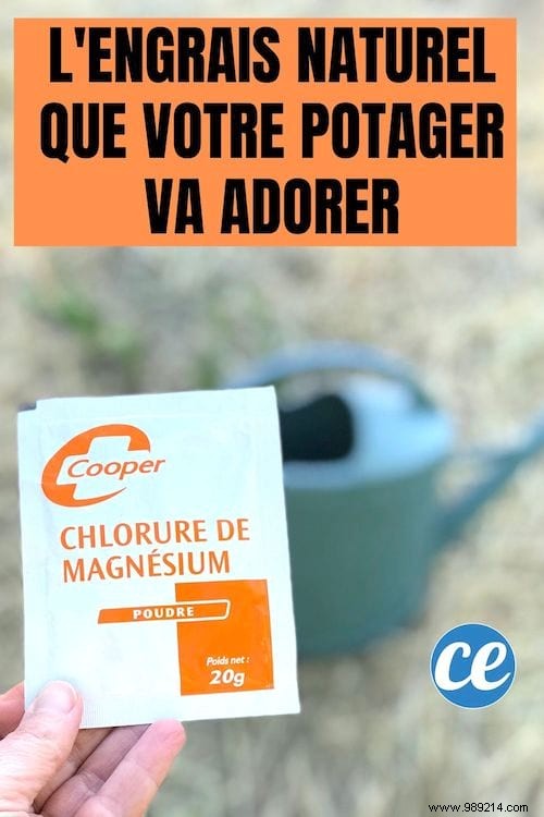 Unlock Lush Growth: Magnesium Chloride as Your Vegetable Garden s Natural Fertilizer