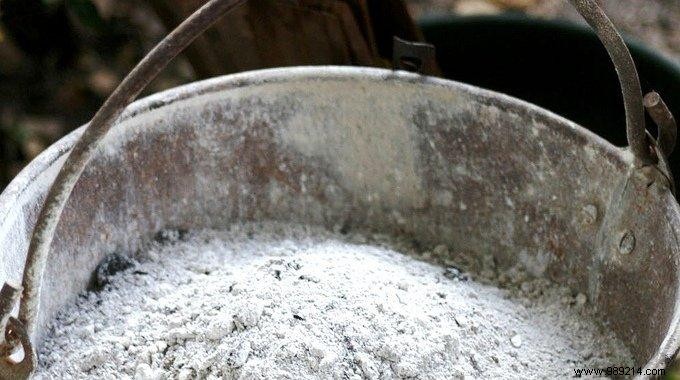 10 Ingenious Uses for Fireplace Wood Ash You Haven t Considered