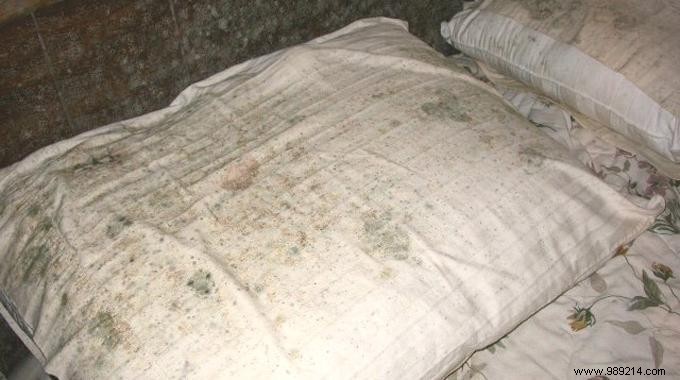 7 Proven Home Remedies to Remove Mildew Stains from Fabric