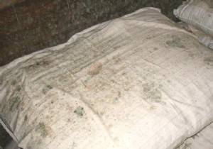 7 Proven Home Remedies to Remove Mildew Stains from Fabric