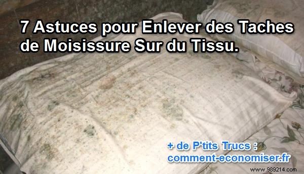 7 Proven Home Remedies to Remove Mildew Stains from Fabric