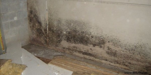 20 Proven and Surprising Uses for Hydrogen Peroxide in Your Home