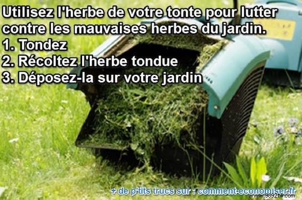 Natural Weed Control: Mulch Your Garden with Lawn Clippings