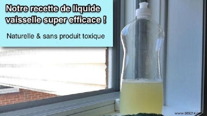 Proven DIY Recipe: Super-Effective Homemade Dishwashing Liquid That Cuts Grease and Saves Money