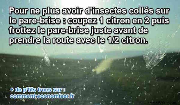 The Simple Lemon Trick to Keep Bugs Off Your Windshield
