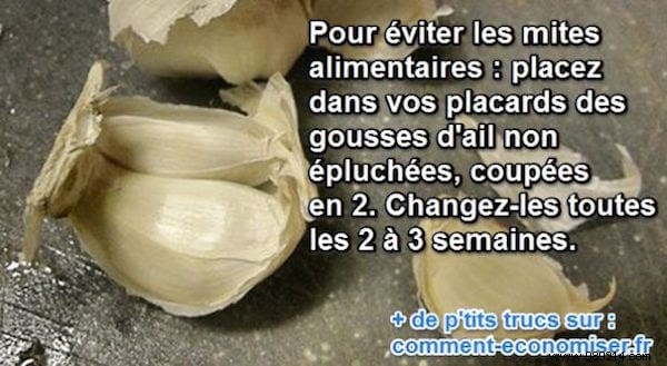 Eliminate Pantry Moths Naturally: Garlic s Proven, Chemical-Free Solution