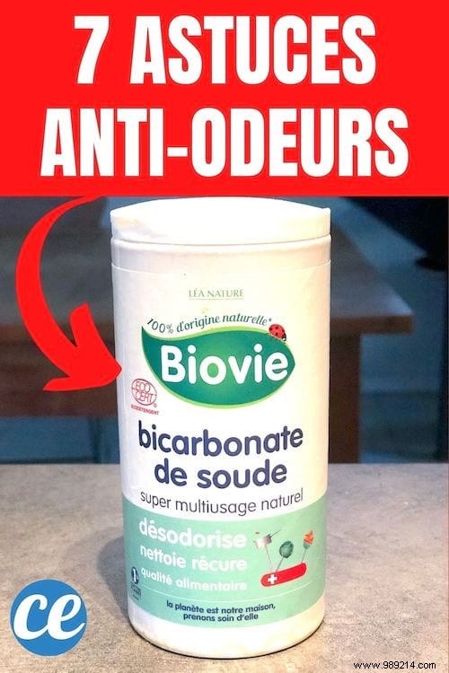 7 Proven Natural Tips to Eliminate Bad Odors in Your Home