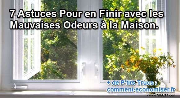 7 Proven Natural Tips to Eliminate Bad Odors in Your Home