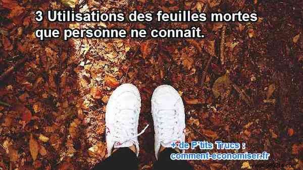 3 Genius Ways to Repurpose Fallen Leaves in Your Garden