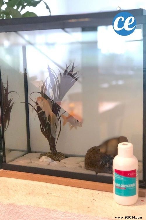 29 Proven Hydrogen Peroxide Uses for Cleaning, Health, and Home Care – Don t Miss #23!