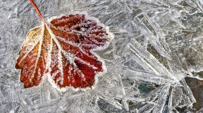 2 Proven, Practical Tips to Prevent Frost on Your Car Windows This Winter