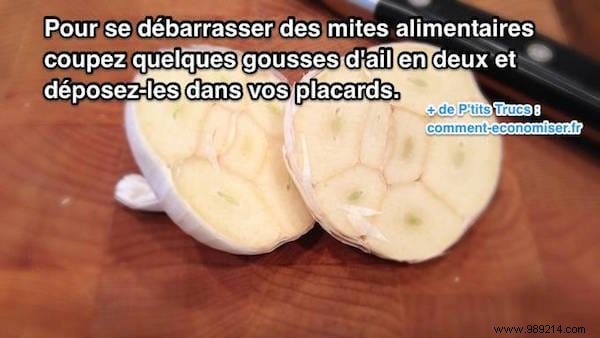 Eliminate Pantry Moths Naturally: The Proven Garlic Remedy