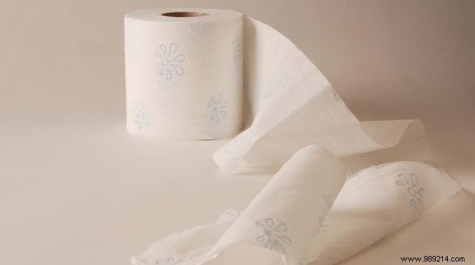 Easy DIY Hack: Freshen Your Bathroom with Toilet Paper Rolls for Pennies