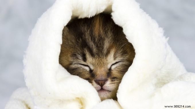 13 Expert Tips to Stay Warm This Winter and Cut Heating Bills