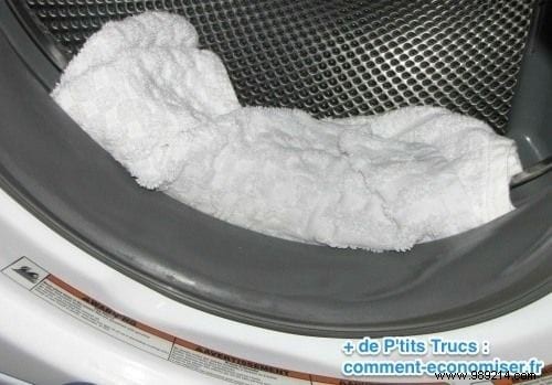 How to Easily Remove Mold from Your Washing Machine Gasket: Expert DIY Guide