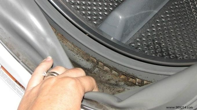 How to Easily Remove Mold from Your Washing Machine Gasket: Expert DIY Guide