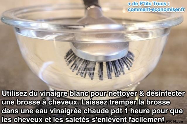 How to Deep Clean a Greasy Hairbrush with White Vinegar – Proven Method