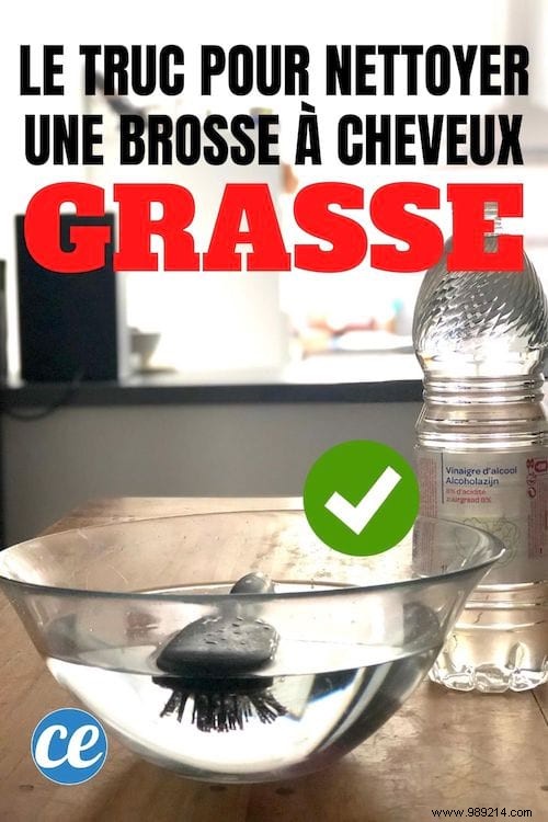 How to Deep Clean a Greasy Hairbrush with White Vinegar – Proven Method