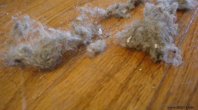 8 Proven Expert Tips to Permanently Eliminate Dust from Your Home