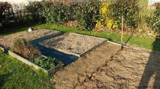 4 Proven Steps to Prepare Your Vegetable Garden for a Bountiful Spring