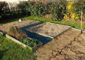 4 Proven Steps to Prepare Your Vegetable Garden for a Bountiful Spring