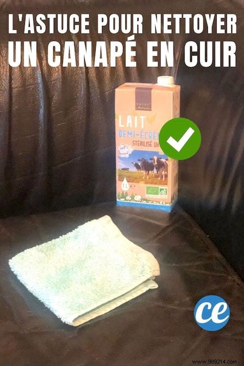 Revive Your Leather Sofa: The Simple Milk Cleaning Method