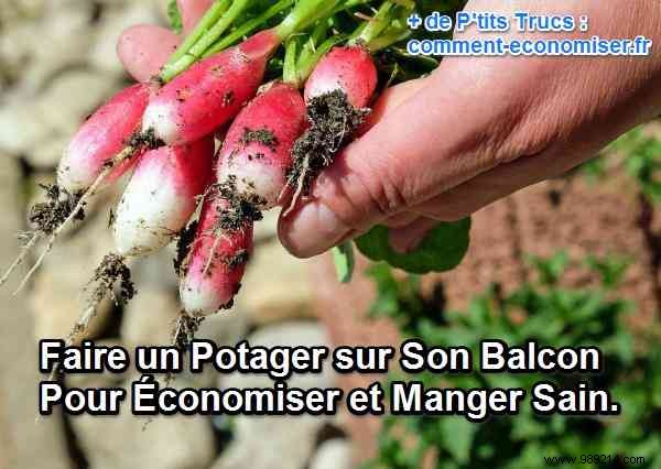 How to Build a Thriving Balcony Vegetable Garden: Save Money and Eat Fresher Produce