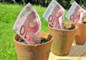 How to Build a Thriving Balcony Vegetable Garden: Save Money and Eat Fresher Produce