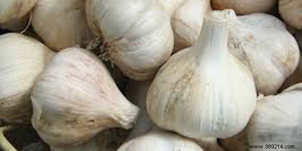 11 Proven Mosquito-Repelling Plants for Your Home and Garden