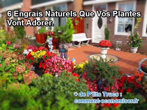 6 Homemade Natural Fertilizers Your Plants Will Thrive On