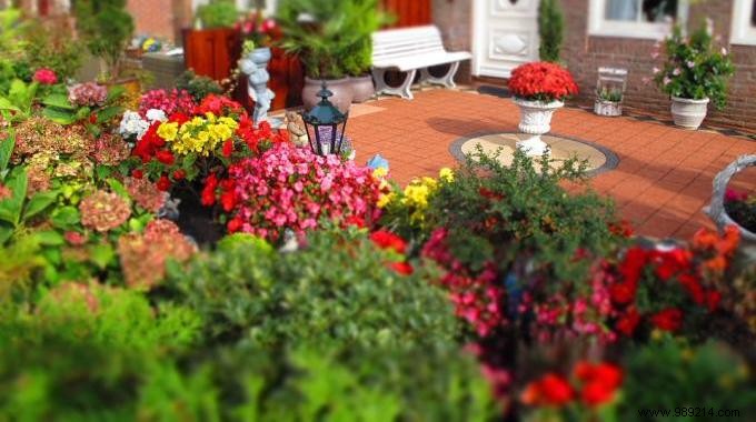 6 Homemade Natural Fertilizers Your Plants Will Thrive On