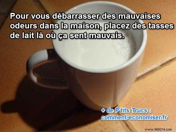 Eliminate Household Odors Naturally: The Milk Cup Trick That Works
