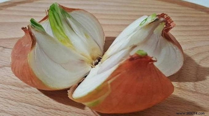 Banish Paint Fumes Fast: Grandma s Proven Onion Trick That Really Works