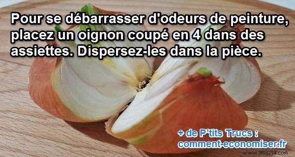 Banish Paint Fumes Fast: Grandma s Proven Onion Trick That Really Works