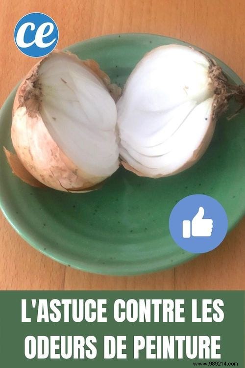 Banish Paint Fumes Fast: Grandma s Proven Onion Trick That Really Works