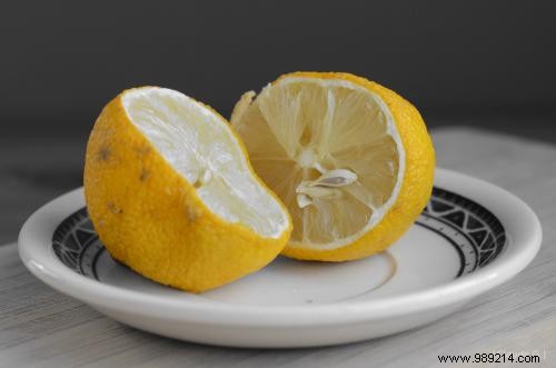 5 Proven Natural Ways to Keep Ants Out of Your Home