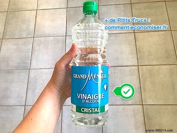 5 Proven Natural Ways to Keep Ants Out of Your Home