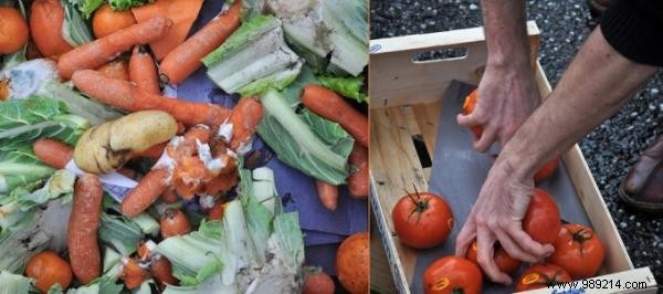 How a Garden Compost Bin Delivers Free, Natural Fertilizer