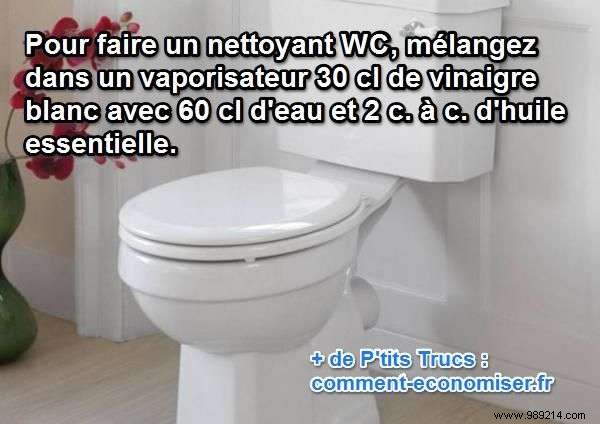 DIY Toilet Cleaner: Powerful Homemade Vinegar Recipe for Sparkling Results