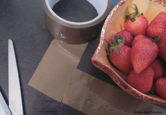 Ant Invasion? 13 Proven Household Items to Eliminate Them Naturally