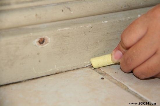 Ant Invasion? 13 Proven Household Items to Eliminate Them Naturally