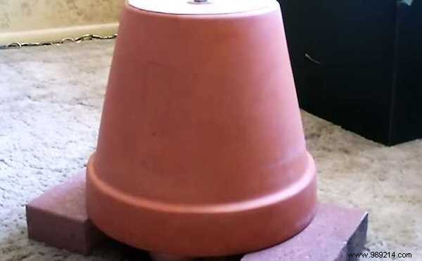 Ant Invasion? 13 Proven Household Items to Eliminate Them Naturally