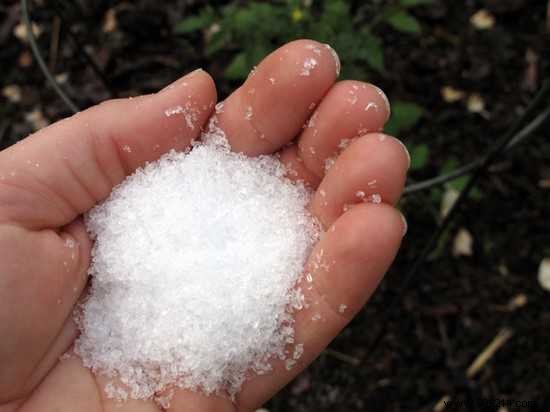 Ant Invasion? 13 Proven Household Items to Eliminate Them Naturally