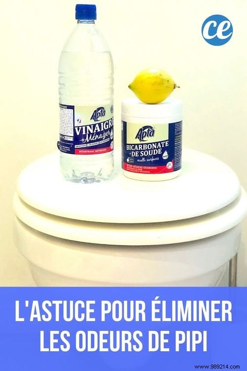Eliminate Stubborn Urine Odor from Your Toilet: Proven Natural Cleaning Method