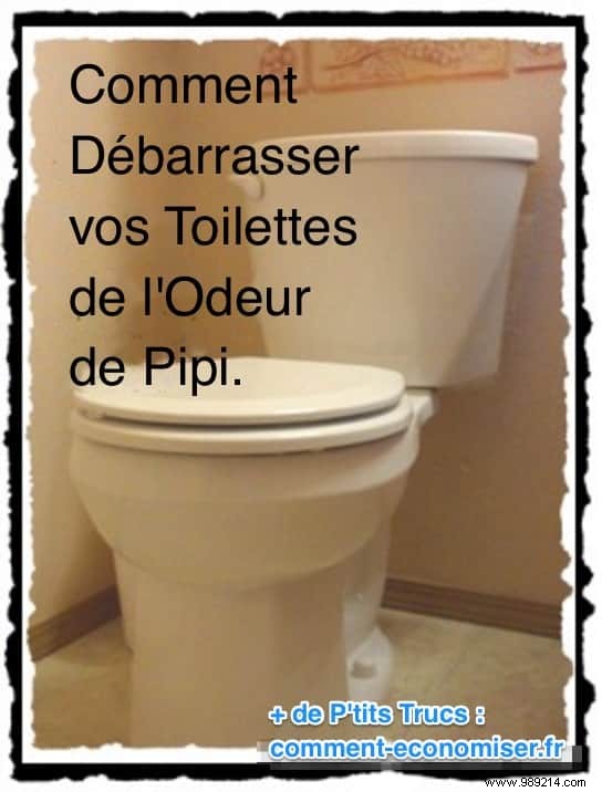 Eliminate Stubborn Urine Odor from Your Toilet: Proven Natural Cleaning Method